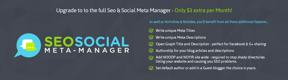 Upgrade to SEO & Social Manager